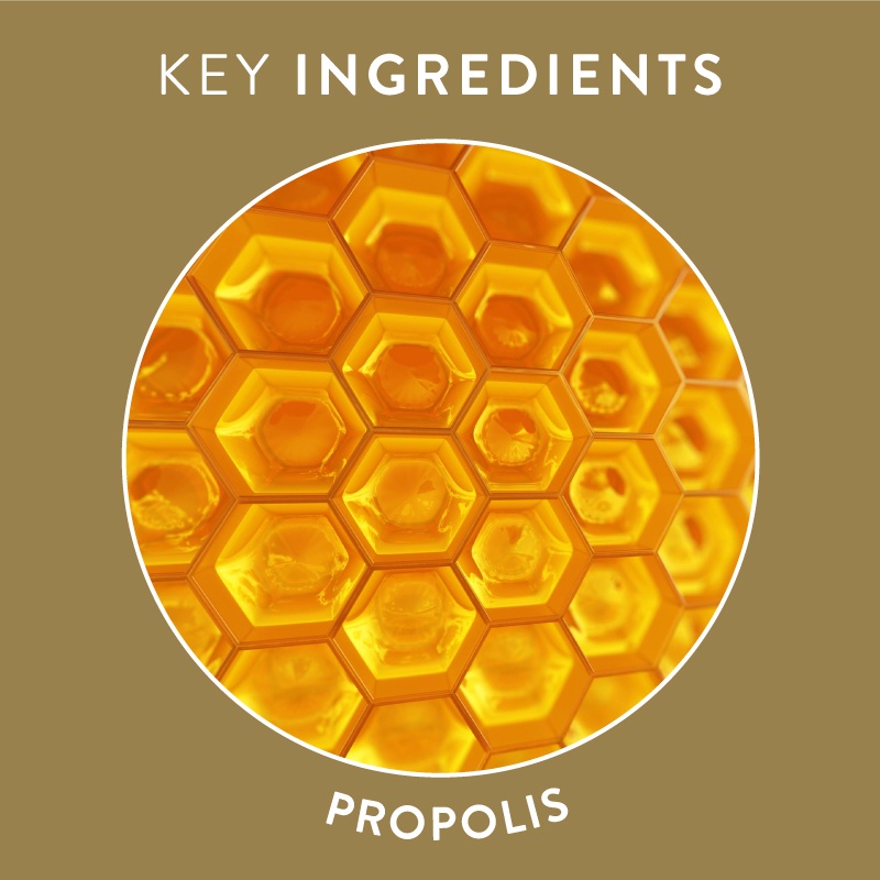 Swisse Ultiboost High Strength Propolis 210 Soft Capsules (EXP02 2025 ...