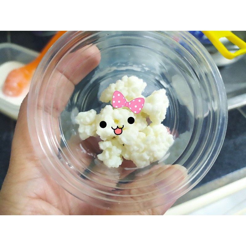 ♥️ kefir grain *เกรนตุรกี* Milk Kefir ♥️
