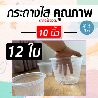 กระถางใส 10 นิ้ว ราคาส่ง แพ็ค 12 ใบ / กระถาง กระถางพลาสติก กระถางต้นไม้ กระถางต้นไม้พลาสติก กระถางราคาถูก