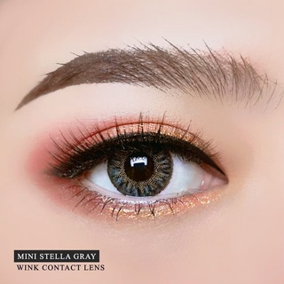 คอนแทคเลนส์ คอนแทคเลนส์แฟชั่น บิ๊กอาย Wink Contact lens ลาย STELLA GRAY (สีเทา)