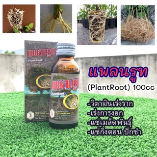 แพลนรูท 100ml น้ำยาเร่งราก เร่งการงอก แช่เมล็ดพันธุ์ แช่กิ่งตอน ปักชำ