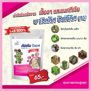 บีเอส บาซิลลัส ซับทิลิส BS แบบผง (100กรัม)  เพาะเชื้อจากห้อง LAB พร้อมใช้ ปลอดภัย 100 %