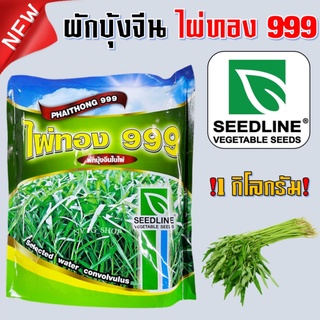 เมล็ดพันธุ์ ผักบุ้งจีน ไผ่ทอง 999 ขนาด 1 กิโลกรัม ผักบุ้งใบไผ่ ผักบุ้งจีนใบไผ่ ผักบุ้ง คุณภาพดี เมล็ดผักบุ้ง