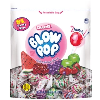 Charms Blow Pop Bubble Gum Lollipop ขนม usa