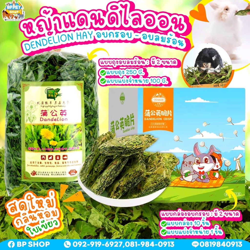 (BP Pets) ใบแดนดิไลออนอบแห้ง ใบแดนดิไลออนอบกรอบ อาหารกระต่าย หญ้ากระต่าย (Dried Dandelion Leaves) สำหรับสัตว์ฟันแทะ