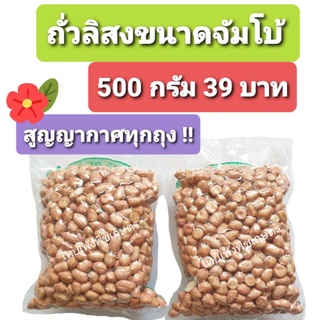 ถั่วลิสงดิบ ขนาดจัมโบ้ (500 กรัม) สำหรับทำถั่ว ทอด ต้ม คั่ว อบ