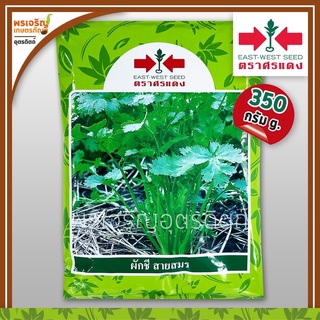 เมล็ดพันธุ์ผักชี ผักชีสายสมร พันธุ์กอใหญ่ (350 กรัม) เมล็ดผักชีถุงใหญ่ เมล็ดผักชีศรแดง เมล็ดพันธุ์ผักสวนครัว ตราศรแดง