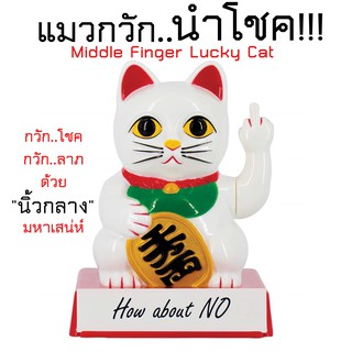 แมวกวัก นำโชค มหัศจรรย์!!!กวักโชคลาภด้วย นิ้วกลาง - Middle Finger Lucky Cat รุ่นใส่ถ่าน