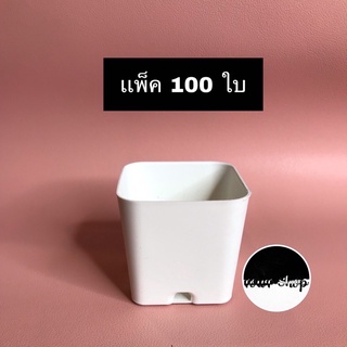 กระถางต้นไม้พลาสติก 2 นิ้ว เหลี่ยม แพ็ค 100 ใบ ขาวนม กระถางต้นไม้พลาสติก กระถางกระบองเพชรกระถางแคคตัสกระถางใส่ต้นไม้มงคล