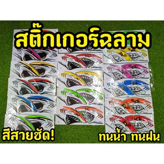 สติ๊กเกอร์ ฉลามบุก แต่ง ติดได้ทุกรุ่น มีเก็บปลายทาง