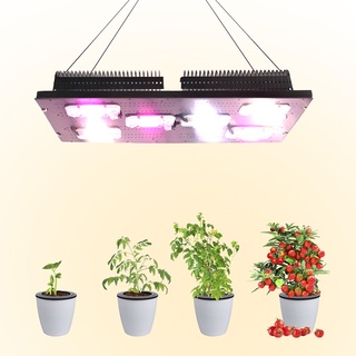 Yxo หลอดไฟปลูกพืชไฮโดรโปนิก Led COB 300W สําหรับเรือนกระจก