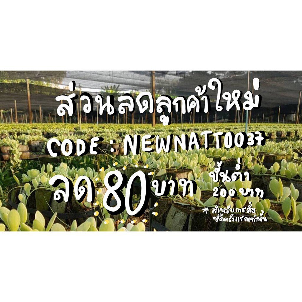 มุมมอง 2