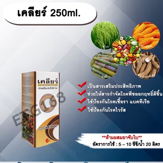 เคลียร์ 250ml. สารเสริมประสิทธิภาพ ช่วยให้สารกำจัดโรคพืชมีประสิทธิภาพมากขึ้น ป้องกันเชื้อรา แบคทีเรีย ไวรัส ขัดผิวผลผลิต