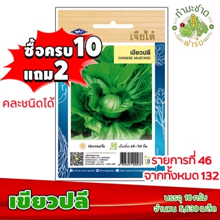 (ซื้อ10แถม2) เมล็ดพันธุ์ เขียวปลี Chinese Mustard ประมาณ 5,630เมล็ด เจียไต๋ เมล็ดพันธุ์พืช เมล็ดพันธุ์ผัก เมล็ดผัก