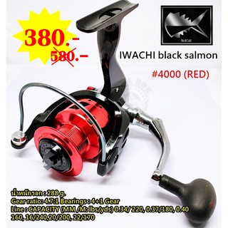 รอก IWACHI black salmon