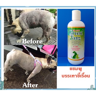 แชมพูขี้เรื้อน สุนัข แมว สูตรสมุนไพรไทย ทองพันชั่ง Green Vetz