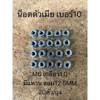 น็อตตัวเมีย เบอร์10 มีแหวน M6 เกลียว1.0 มีแหวน ขอบ12.5MM 20ตัว/ถุง (98194058)