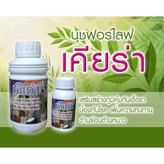 (ส่งฟรี) ถูกสุดๆ เคียร่า หรือ นุชฟอร์ไลฟ์8 (100ซีซี) เสริมสร้างภูมิคุ้มกันเชื้อรา