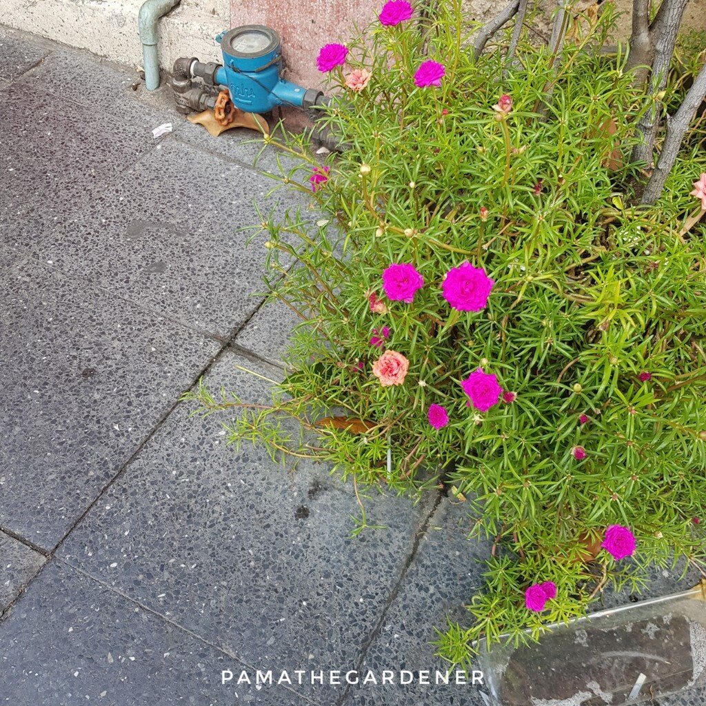 มุมมอง 3