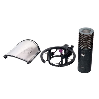 Aston Microphones Spirit Black Bundle *ของแท้รับประกัน1ปี* ไมค์คอนเดนเซอร์ Multi Pattern ฟรี!! Shock mount /Pop Shield