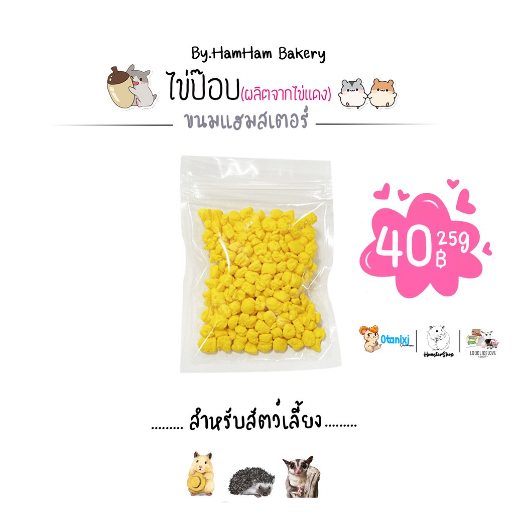 (Ham Ham Bakery) ไข่ป๊อบ ขนมหนูเเฮมเตอร์ อาหารหนูแฮมสเตอร์ กระรอก ชูการ์ ดอร์เม้าท์ เม่นเเคระ
