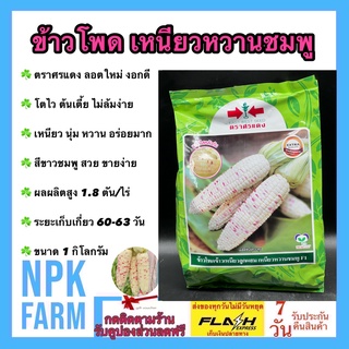 ข้าวโพด เหนียวหวานชมพู ขนาด 1 กิโลกรัม หมดอายุ30/09/67 ข้าวโพดหวาน ศรแดง รสชาติเหนียว นุ่ม หวาน อร่อย สีขาวชมพู สวย