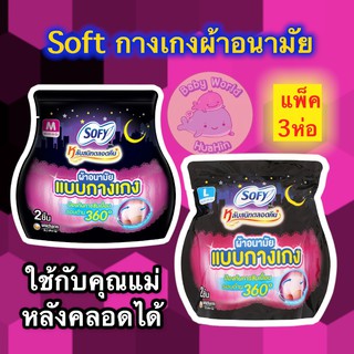 [แพ็ค 3ห่อ]Sofy โซฟี หลับสนิทตลอดคืน ผ้าอนามัย แบบกางเกง M,L,XL 2 ชิ้น กางเกงผ้าอนามัย กางเกงผ้าอนามัยหลังคลอด