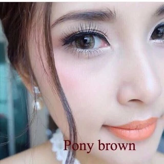 ส่งด่วนทุกวัน‼️คอนแทคเลนส์ Pony Brown - Pitchy Lens / Pretty Doll ขนาดบิ๊กอาย