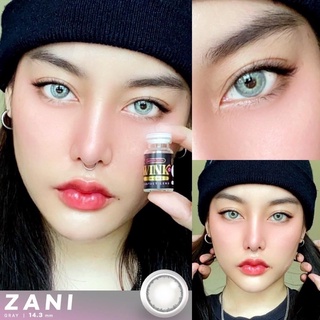 คอนแทคเลนส์🌈Zani🌈 Chestnut / Gray (Wink) ขนาดบิ๊กอาย💖ขายดี🍭