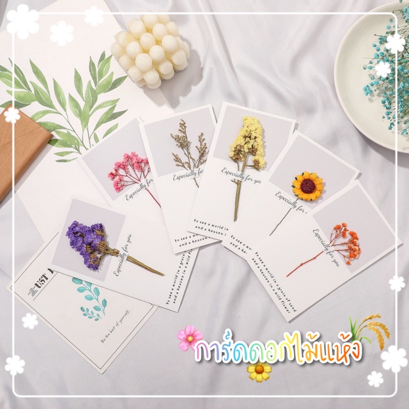 #พร้อมส่ง #ส่งของทุกวัน #การ์ดอวยพร #การ์ดมีดอกไม้แห้ง #ของขวัญวันเกิด