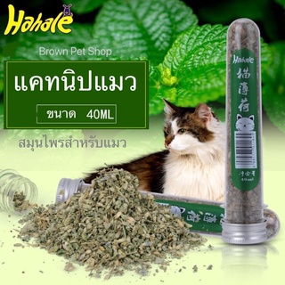 catnip แคทนิปแมว ผงแคทนิป อมยิ้มแคทนิป อมยิ้วแมว กัญชาแมว lollipop catnip ไม้มาทาทาบิ