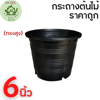 สีดำกระถางต้นไม้ กระถางพลาสติก 6 นิ้ว กระถางต้นไม้ PP พลาสติกดำ