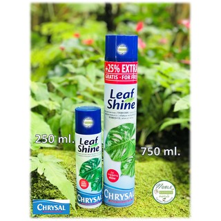 🔥โฉมใหม่🔥 สเปรย์ฉีดใบมัน Chrysal Leaf Shine คริสซอล ขนาด 250 ml. และ 750 ml. เคลือบเงาใบ สวยงาม ไม้ใบ ไม้ประดับ เงางาม