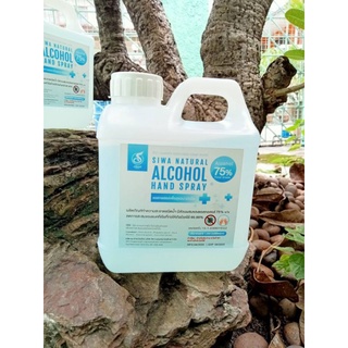 แอลกอฮอล์สเปรย์Alcoholฆ่าเชื้อโรคพร้อมส่ง1000ml/1แกลลอล