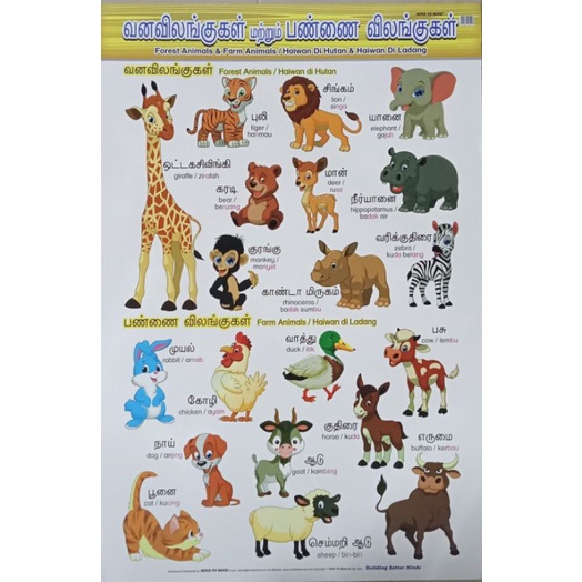 FOREST ANIMALS & FARM ANIMALS/HAWIAN DI HUTAN & HAVANG