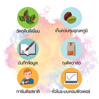 NLCOFFEE SPECIALTY เมล็ดกาแฟ Spring Berry สปริงเบอร์รี่ เบลนด์