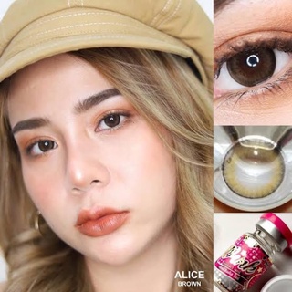 คอนแทคแลนส์ 💗Alice brown/black💗(wink lens)