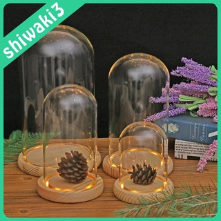 ( Shiwaki3 )Clear Glass Display Dome with LED Wood Base Microlandscape Holder Birthday Gift Bedroom Decor