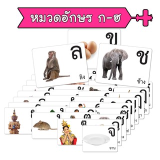 แฟลชการ์ด หมวด ก-ฮ บัตรคำ แนวการสอนเดียวกับ ชิจิดะ เฮกุรุ