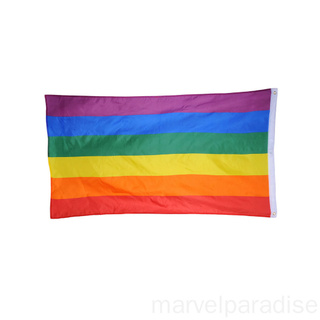 ธง Lgbt Lesbian Gay Pride สีรุ้งเป็นมิตรต่อสิ่งแวดล้อม 90X150 ซม. ตกแต่งบ้าน