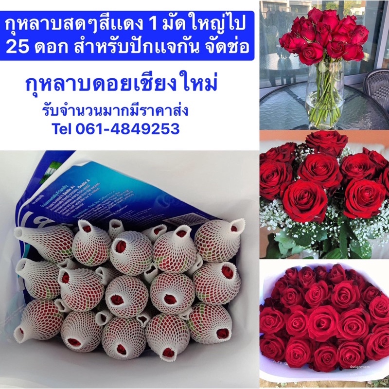 กุหลาบตัดสดๆจากสวนสำหรับ จัดช่อเเละปักเเจกันคัดพิเศษ1มัดมี25ดอก ดอกใหญ่สวยอลังกาลมาก 1 ดอกขนาดเท่าไข่ไก่ค่ะ