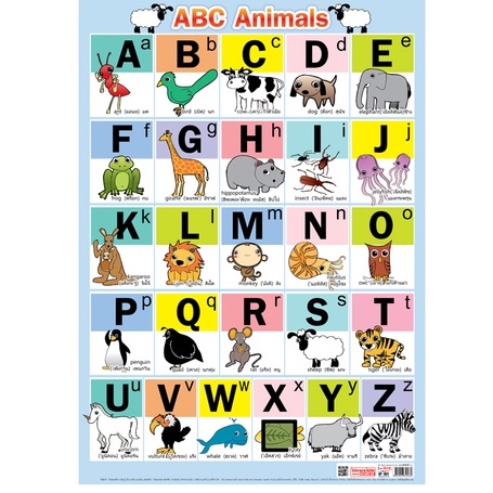 โปสเตอร์ ABC Animals #EP-021 สื่อการเรียนรู้ปฐมวัย สื่อการเรียนการสอน โปสเตอร์พลาสติก PP
