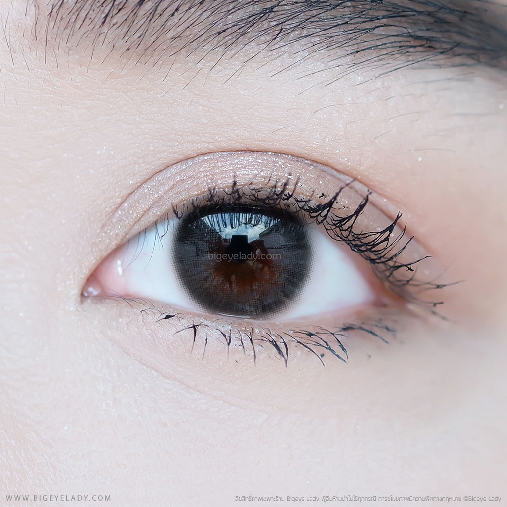 Athena (Gray) ค่าสายตา 0.00-10.00 คอนแทคเลนส์