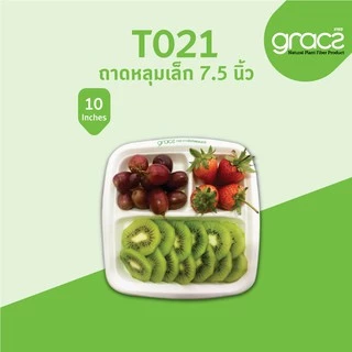 GRACZ ถาดใส่อาหาร 3 ช่อง 7.5 นิ้ว รุ่น T021 (แพ็ค 50 ชิ้น) (เกรซ คลาสสิค) ถาดอาหาร ย่อยสลายได้