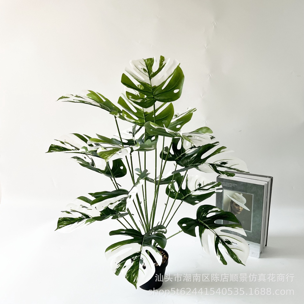 TR-54(พร้อมส่ง)ต้นไม้ปลอม ต้นmonsteraมอนสเตอร่าด่าง สูง 75CM.,60CM.