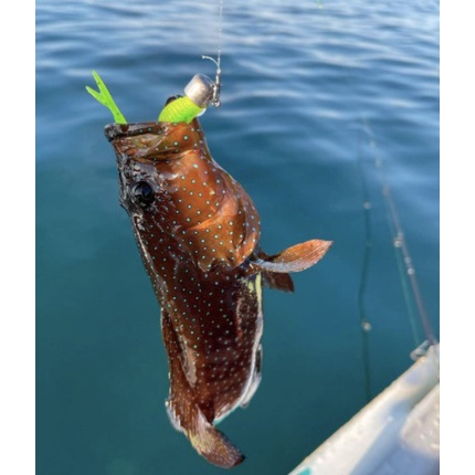 เบ็ดหัวจิ๊ก แพค 4 ตัว ขนาด 2.5 / 3.5/ 5/ 7 g สำหรับใส่เหยื่อยางงานเคาะ (หัวจะปักลงพื้น) JOJO Thailand - รูปที่ 4