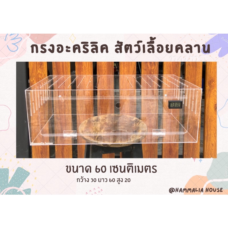 [ค่าส่งถูกมาก]กรงอะคริลิคเลี้ยงสัตว์ กรงงู กรงสัตว์เลื้อยคลาน กรงดอเม้าส์ กล่องเลี้ยงงูตู้เลี้ยงงูอุปกรณ์สัตว์เลื้อยคลาน