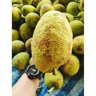 สาเกเชื่อมสาเกข้าวเหนียวหนึบหนับอร่อยหวานน้อย..500กรัม