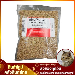 เทียนข้าวเปลือก 200 กรัม Fennel Seed เทียนข้าวเปลือกอินเดีย