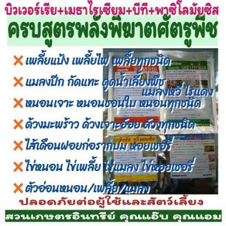 4พลังพิฆาตแมลง 100กรัมx4ซอง บิวเวอเรีย+เมธาไรเซียม+บีที+พาซิโลมัยซิส กำจัดเพลี้ย ด้วง ไร แมลงหวี่ หนอน ไส้เดือนฝอย ไข่